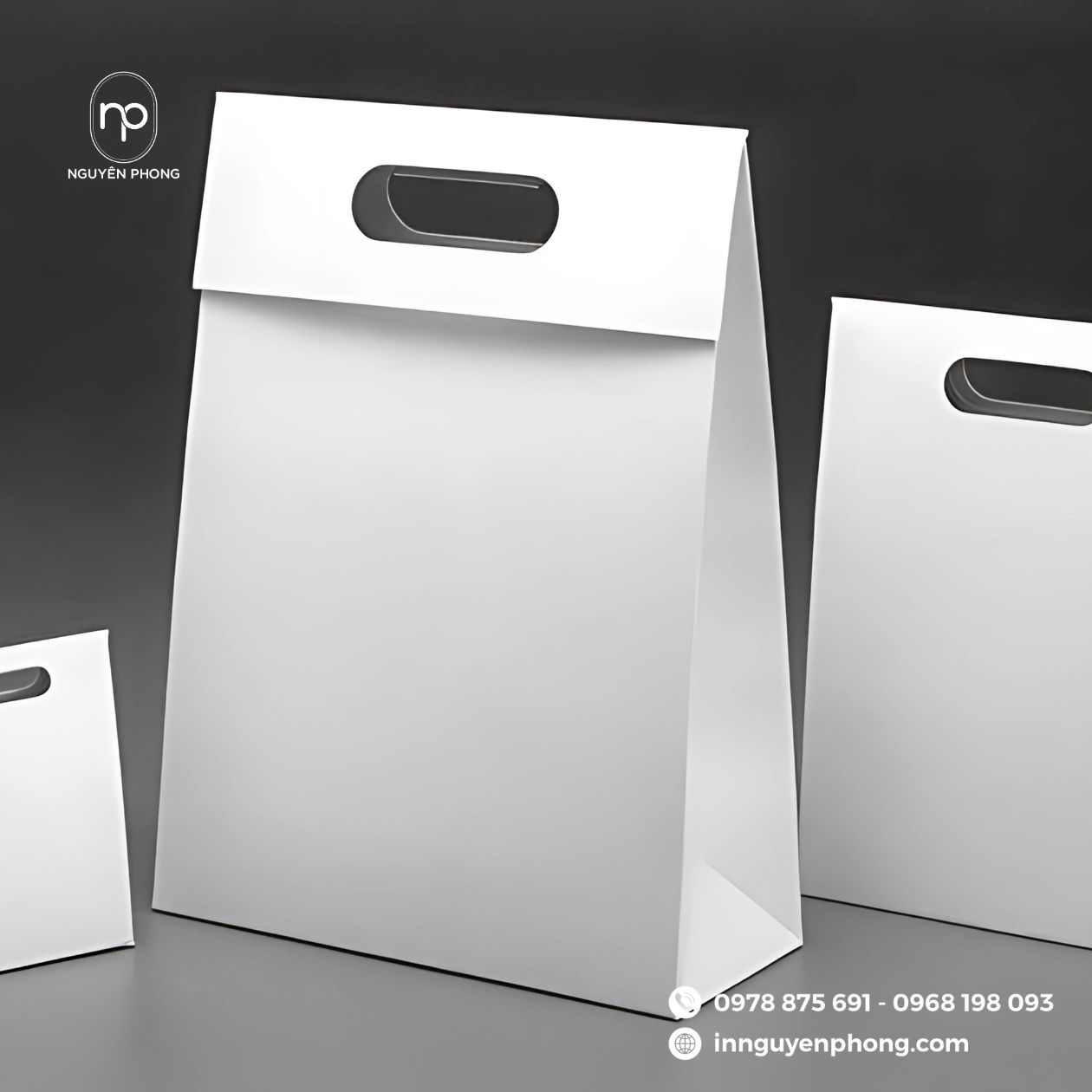 Mẫu túi giấy kraft tại Tp. HCM